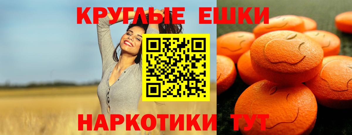 Ecstasy  Вход с VPN  Норильск  Экстази Philipp Plein  Ecstasy Punisher 
