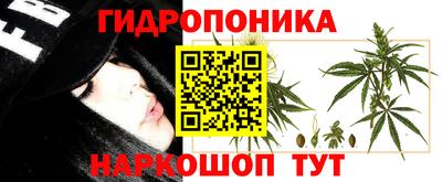 эйфоретик Тара