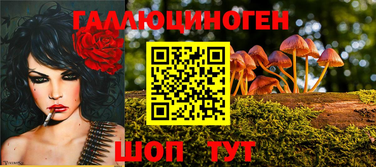 Псилоцибиновые грибы Magic Shrooms  закладка  Вход с VPN  Норильск  Псилоцибиновые грибы прущие грибы 